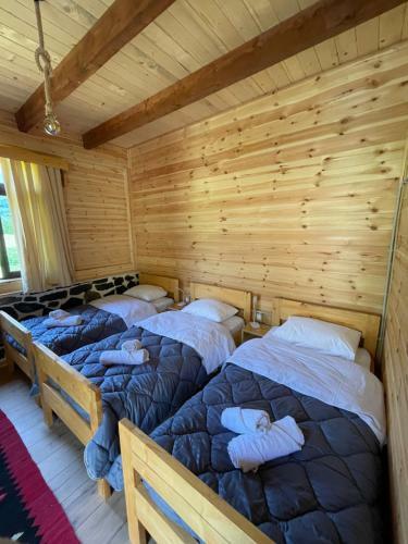 Hostal Royal Land