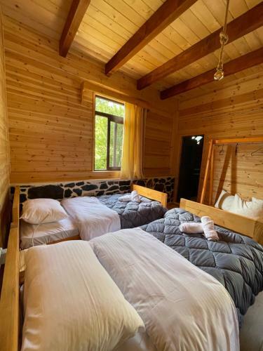 Hostal Royal Land