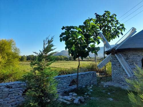 Windmill Shkodra Gesthouse Camping & Grill