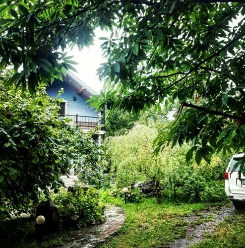 Cobalt Cottage