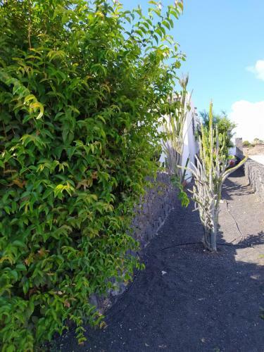 Under The Volcano In Playa Blanca Lanzarote