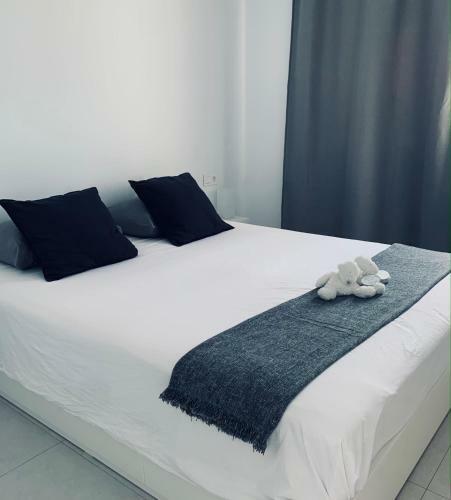 Trendy Casa Linea
