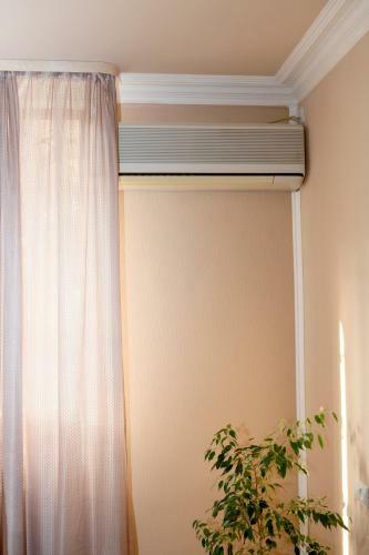 Central Home Apartment