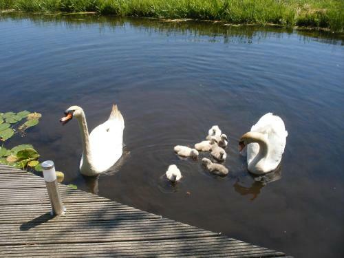 B&b-edam
