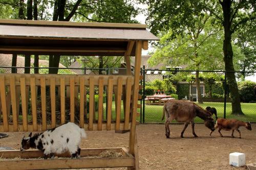 B&B Hoeve Nijssen