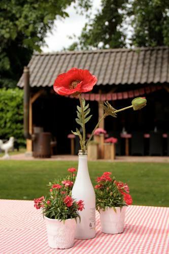 B&B Hoeve Nijssen
