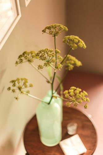Bed & Breakfast Hoeve De Haar
