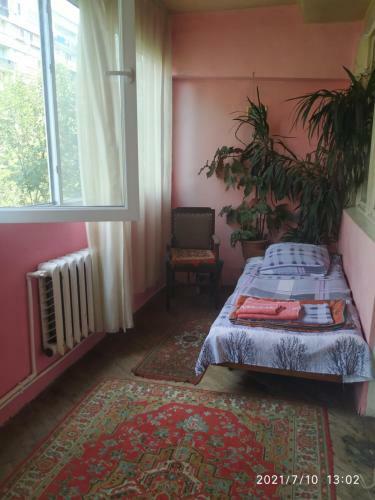 Apartment Center Yerevan
