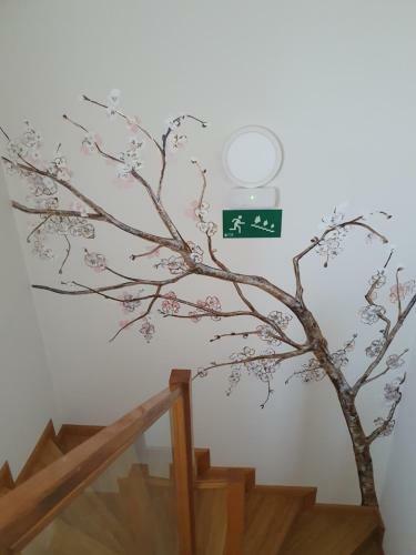 Apartamento Casa Isabela