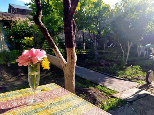 Hostal Flora's Guest House