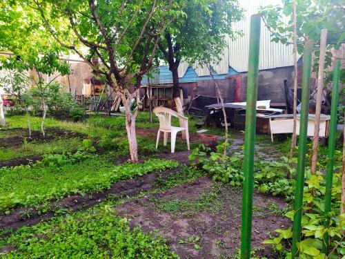 Hostal Flora's Guest House