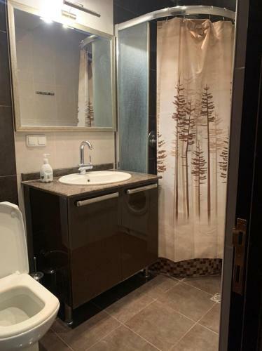 Apartmemt In City Center