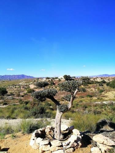 Agroturismo Ca'lila