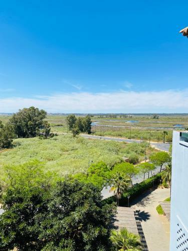 Las Palmeras Penthouse Apartment