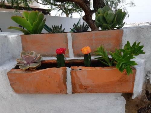 Apartamento Tilama