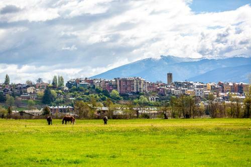 Apartamento Hauzify I Rac� De Puigcerd�