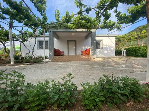 Hostal Progon House