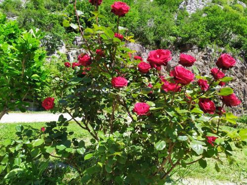 Apartamento Mostar House