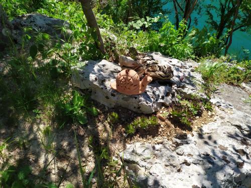Apartamento Mostar House