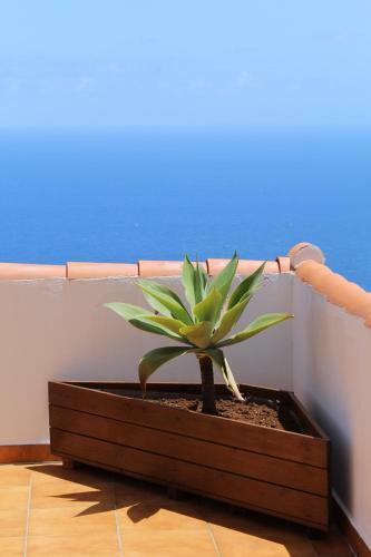 Villa Entre Ciel Et Mer