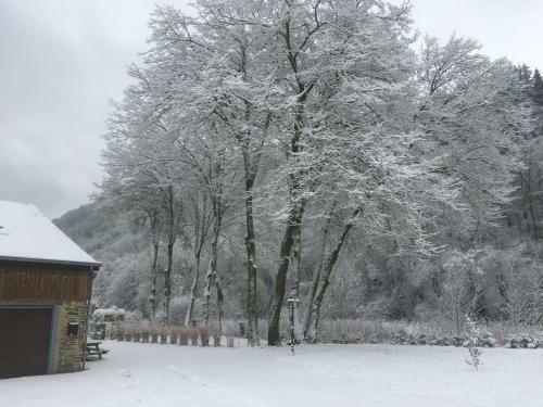 Chez Ars�ne
