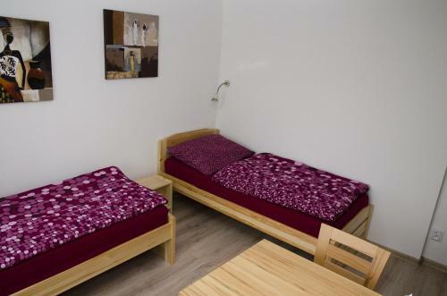 Ubytov�n� Bor