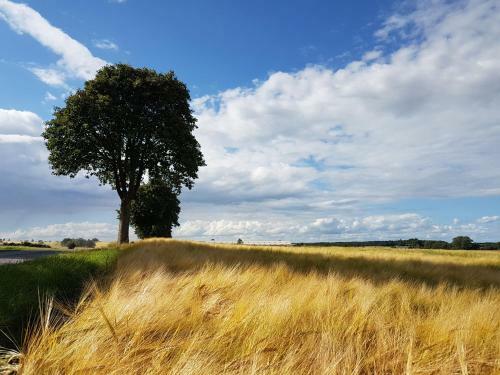 B&B Bauernhofferien Auf M�n