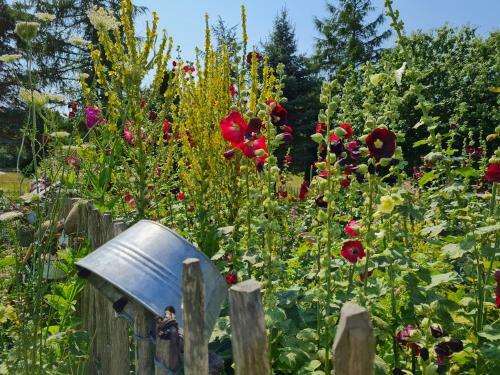 B&B Bauernhofferien Auf M�n