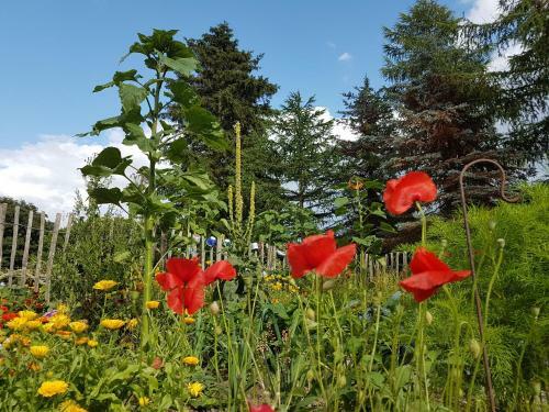 B&B Bauernhofferien Auf M�n