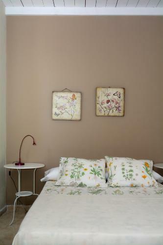 Apartment Lapa Punta Mujeres Sea Views By Pvl