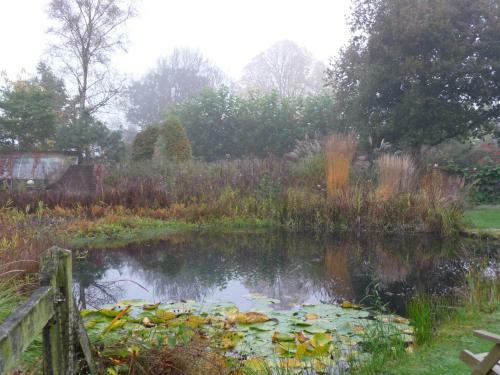 Bed & Breakfast Selatuinen