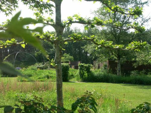 Bed & Breakfast Selatuinen