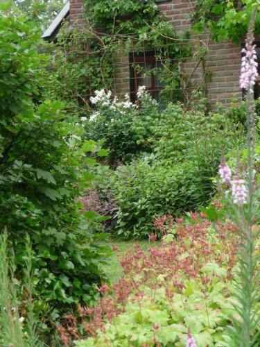Bed & Breakfast Selatuinen