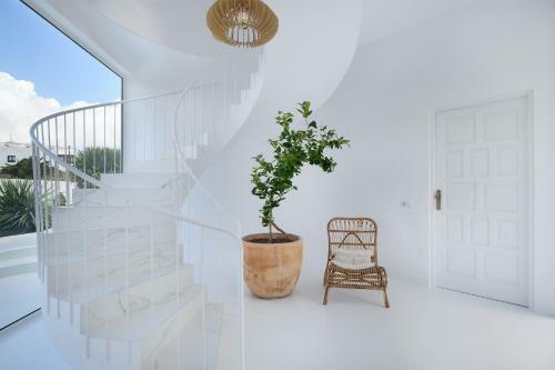 Apartamento Aquablanca Suite Chic Deluxe, En Punta Mujeres