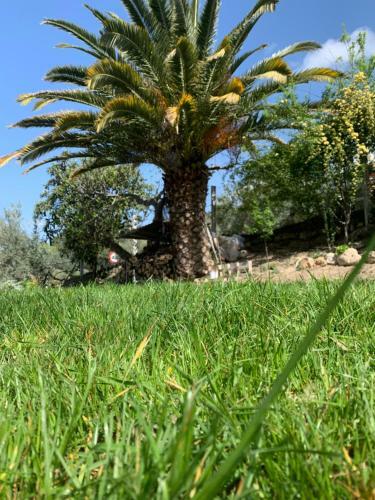 Villa R�o B�jar