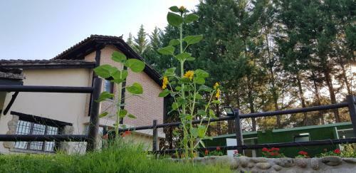 Agroturismo Esencia De Gredos