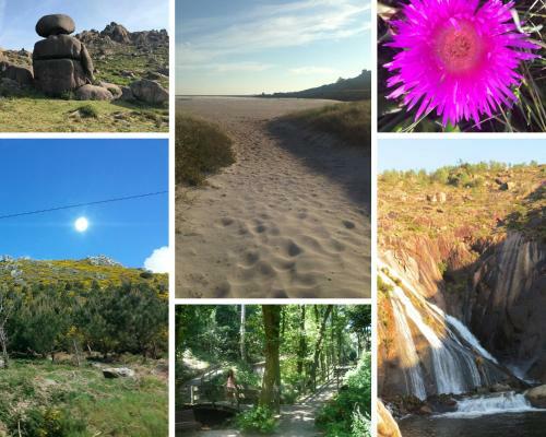 Casa Flor