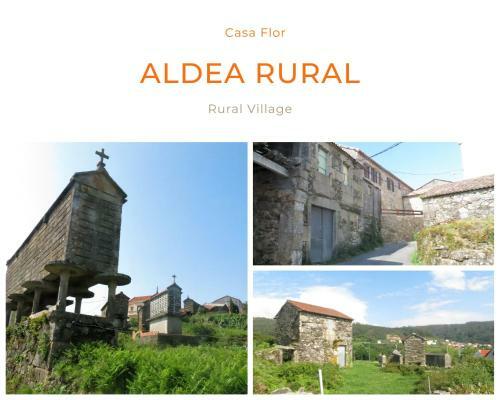 Casa Flor