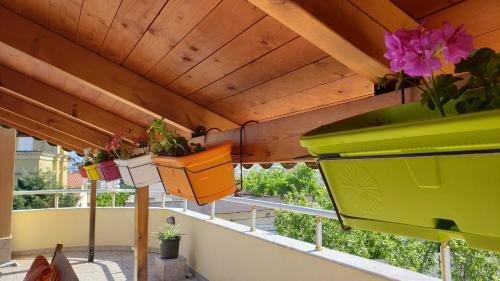 Friends Terrace