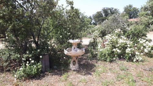 La Casona De Requijada A 6km De Pedraza Con Piscina