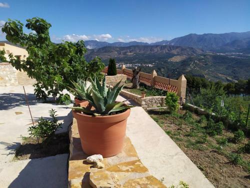 Cortijo Don Enrique