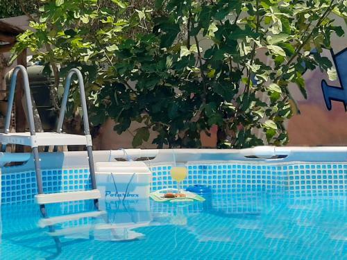Apartamento Rio Indio Rural Home With Pool