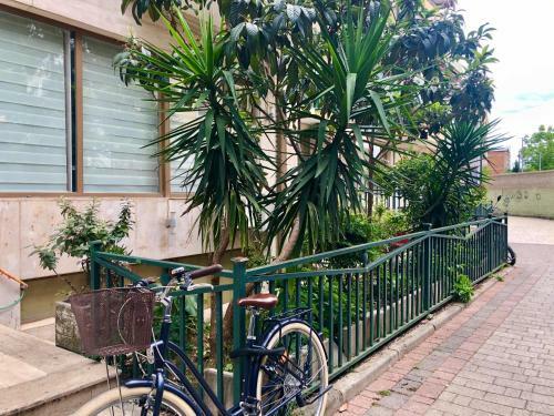 Haci Apartments