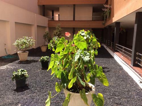 Apartamento ??????????? Martianez