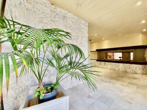Apartamento Lucil�