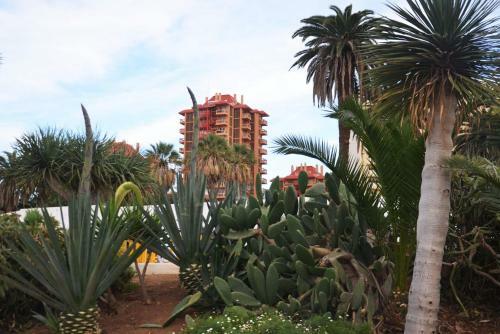 Apartamento Sunshine Studio