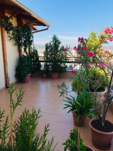 Apartamento Prime Tirana Penthouse