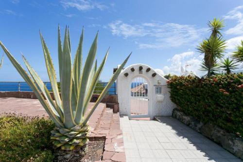 Apartamento Vistas Preciosas - Gran Terraza