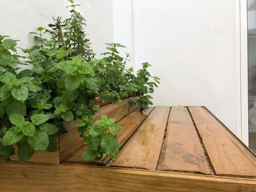 Apartamento Punta Brava Relax