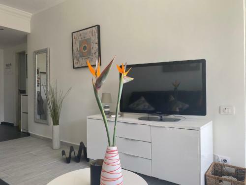 Apartamento Ferienwohnung Buena Vista
